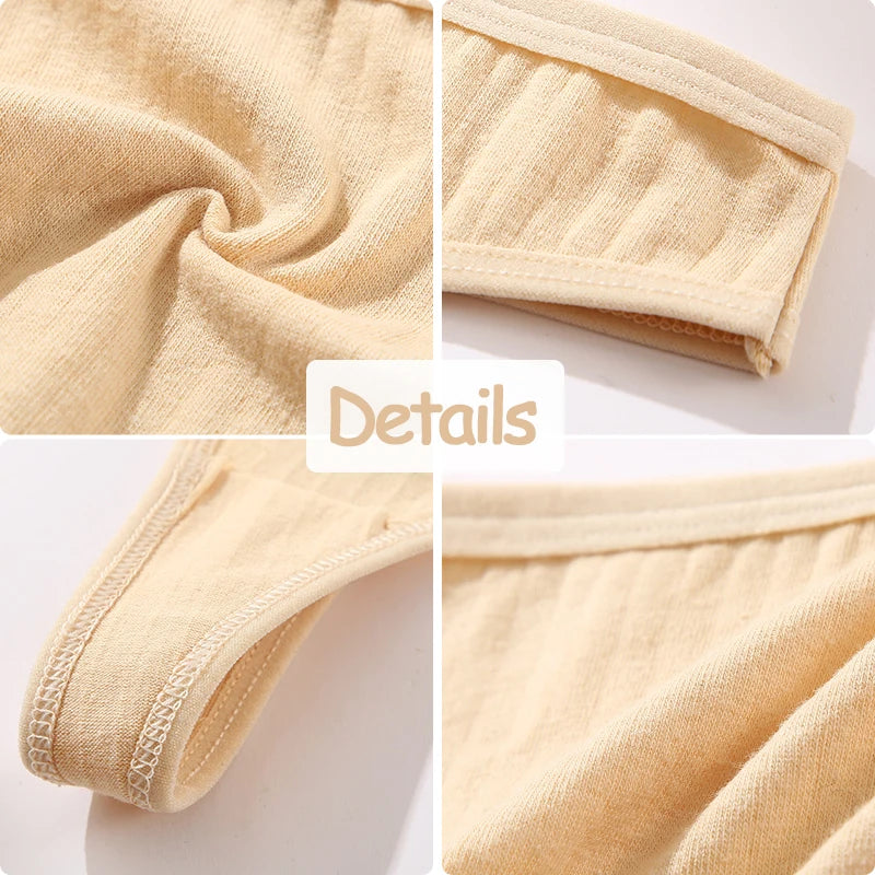 Lot Les Essentiels de trois strings coton pour femme, présentation d’un assortiment
